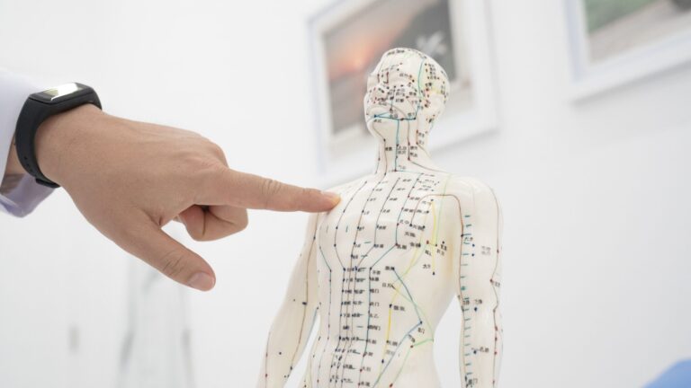 acupuncture-human-body-model-DNA-Health-Clinics-scaled.jpg